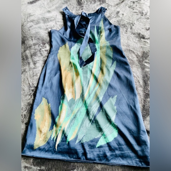Taylor silk dress size 4, with a tie in the back of neck, mini dress - Picture 5 of 5